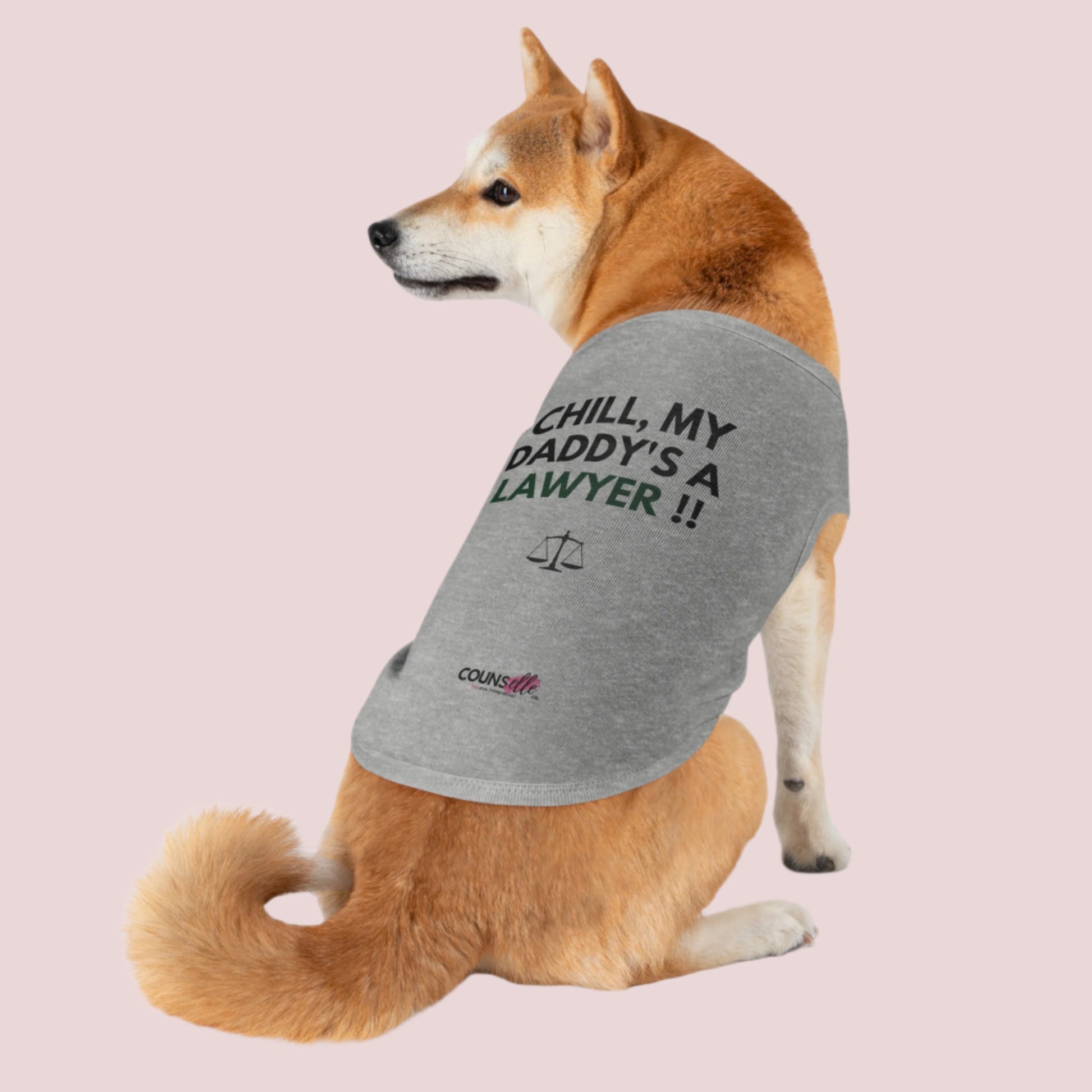 A dog wearing a grey pet tee featuring the quote "Chill, my daddy's a lawyer" in uppercase text, an illustration of justice scales below the text and the counsellecollection logo near the hem.
