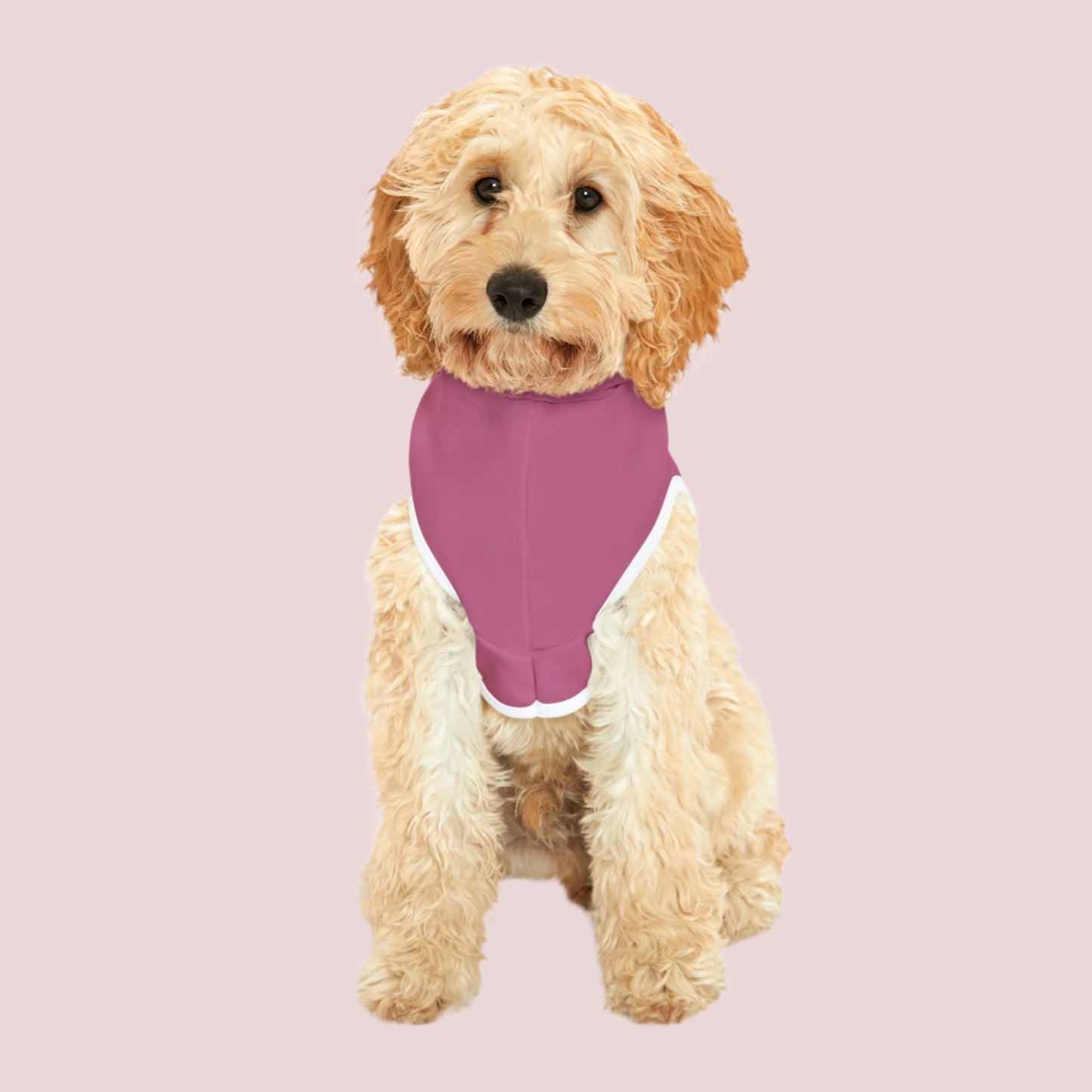 A dog wearing a pink pet hoodie with white cuffs and hem accents,  featuring the words "DogTOR OF LAW" and the counsellecollection logo near the hemline.