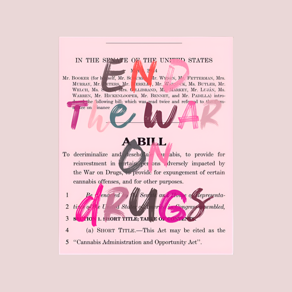 A matte paper poster showing the text "END THE WAR ON DRUGS", in different colored letters, written  on top of a page of a proposed bill entitled "Cannabis Administration and Opportunity Act"
